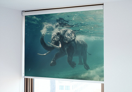 Рулонная штора с фотопечатью Слон
